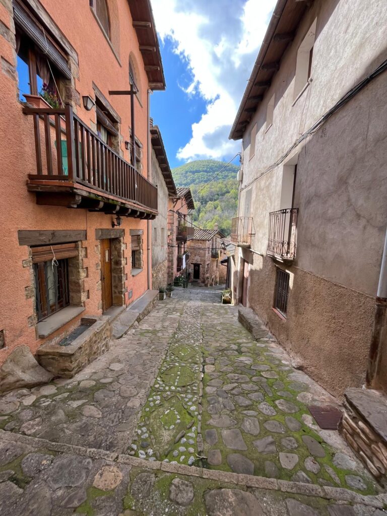 WhatsApp Image 2025-04-17 at 12.24.29